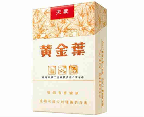 黃金葉天葉最新價(jià)格