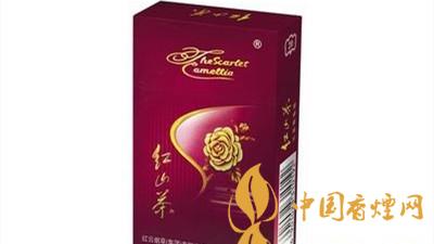 紅山茶紫市值多少錢？紅山茶紫口味如何？