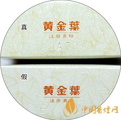 黃金葉天葉怎么區(qū)分 黃金葉天葉最新區(qū)分方法