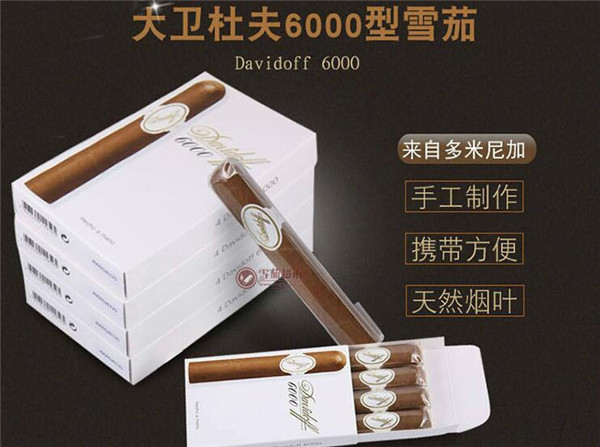 大衛(wèi)杜夫6000