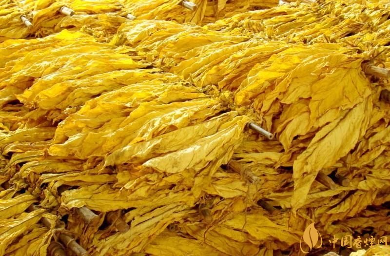 朱砂煙到底是什么煙，云煙朱砂煙有哪幾款