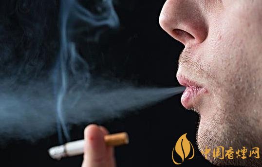 怎么快速去除室內(nèi)的煙味只需要做好這三步！