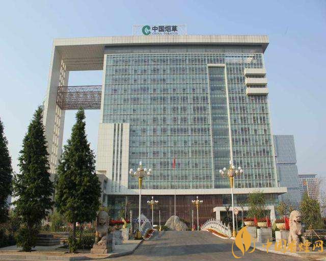 3.5億煙民1年為國家貢獻1.2億！專家：卷煙太便宜，要漲價